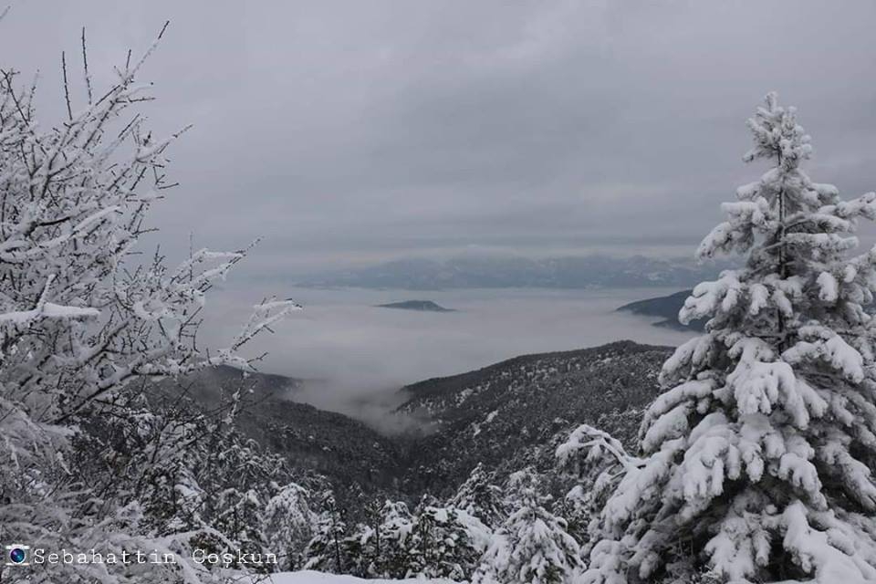 Vezirköprü Altınkaya Köyü 8