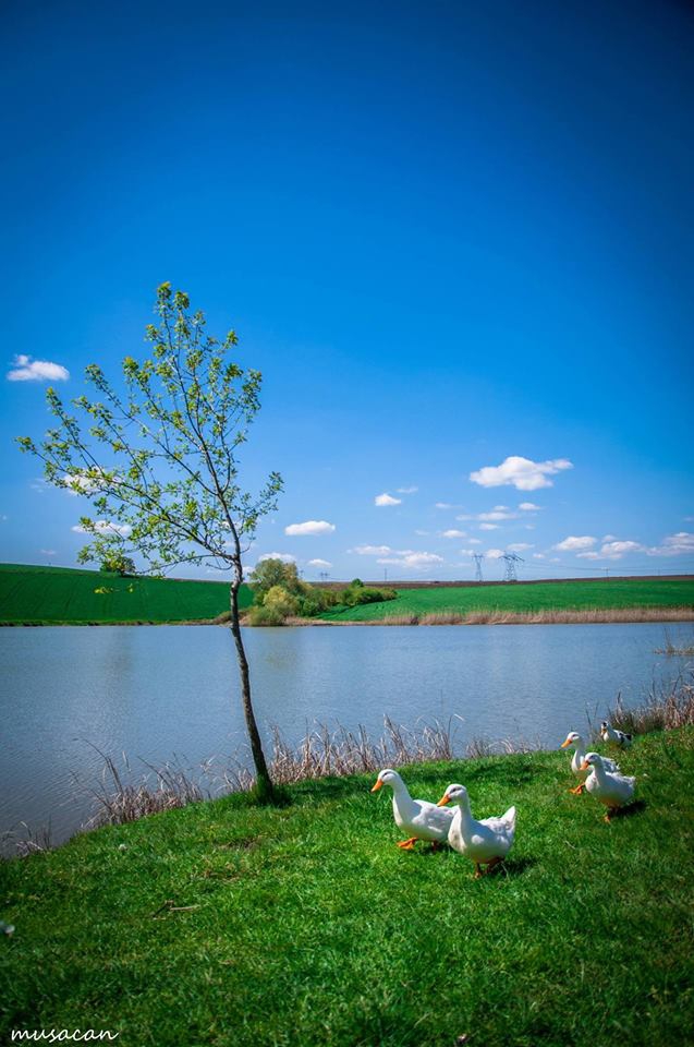 Edirne Eskikadın Köyü Resimleri 4