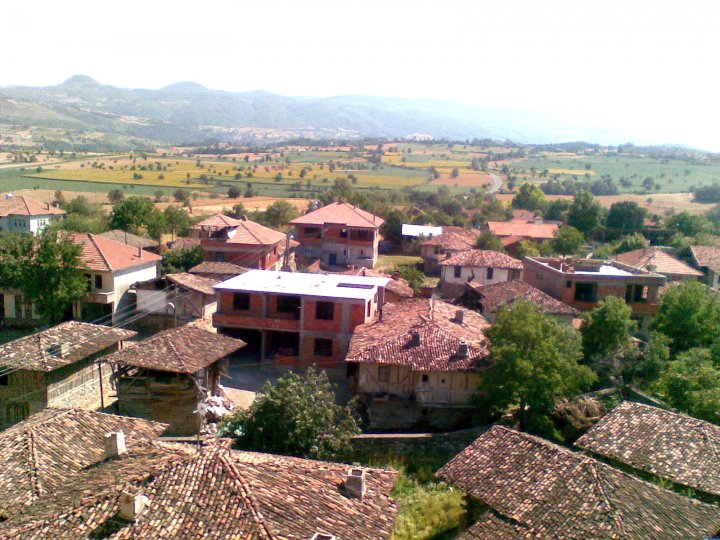 Vezirköprü Arıca Köyü 1