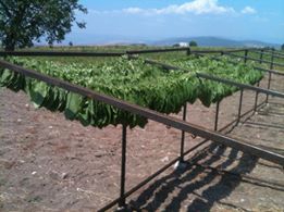 Vezirköprü Avdan Köyü 2