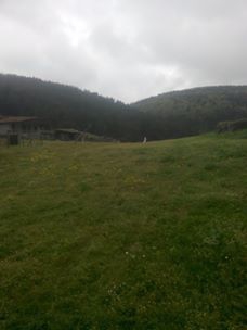 Vezirköprü Ayvalı Köyü 3