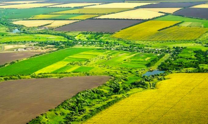 Vezirköprü Ayvalı Köyü 4