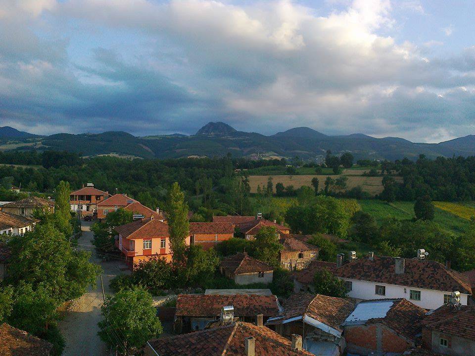 Vezirköprü Ayvalı Köyü 8