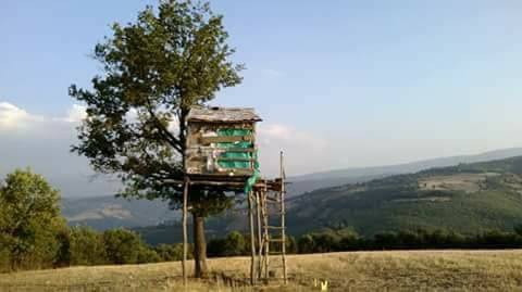 Vezirköprü Bahçesaray Köyü 3