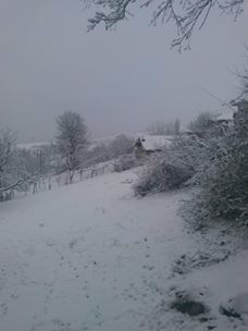 Vezirköprü Bakla Köyü 2