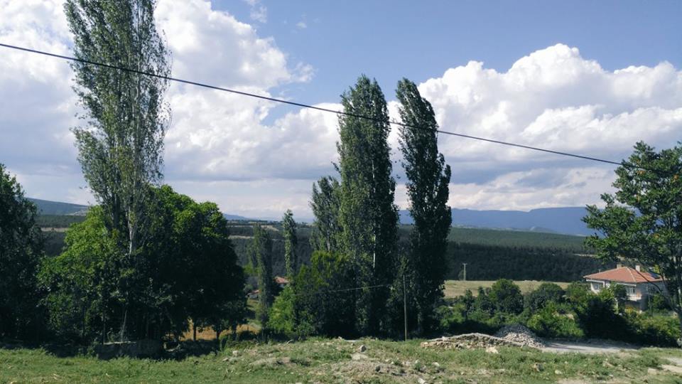 Vezirköprü Bakla Köyü 5