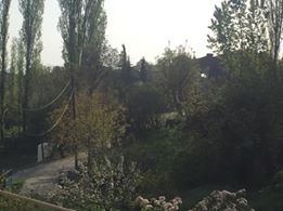 Vezirköprü Bakla Köyü 8