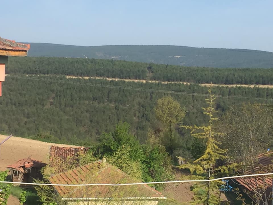 Vezirköprü Bakla Köyü 9