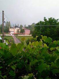 Vezirköprü Başfakı Köyü 6