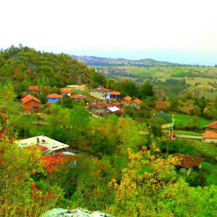 Vezirköprü Başfakı Köyü 7