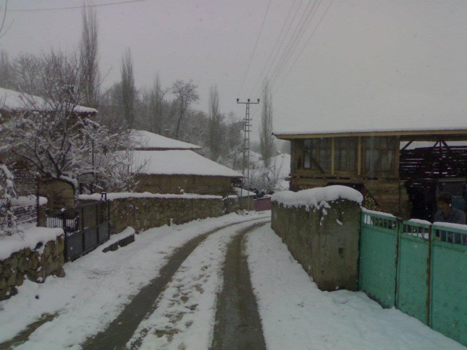 Vezirköprü Bayramköy Köyü 2