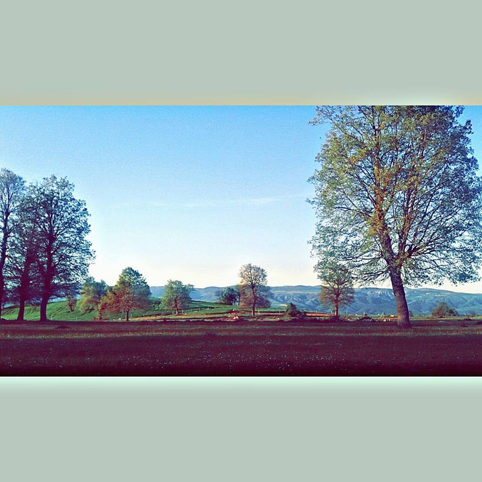 Vezirköprü Bayramköy Köyü 3