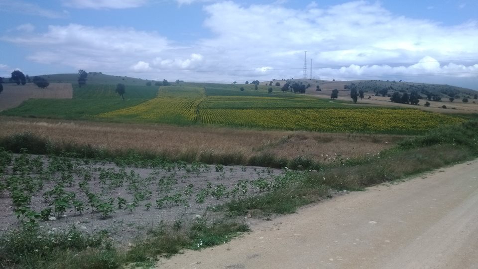 Vezirköprü Bayramköy Köyü 4