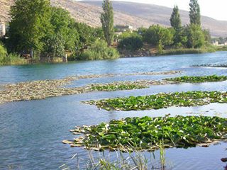 Pazarcık Evri Köyü Resimleri 1