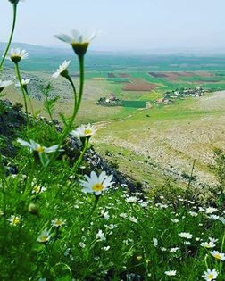 Pazarcık Evri Köyü Resimleri 10