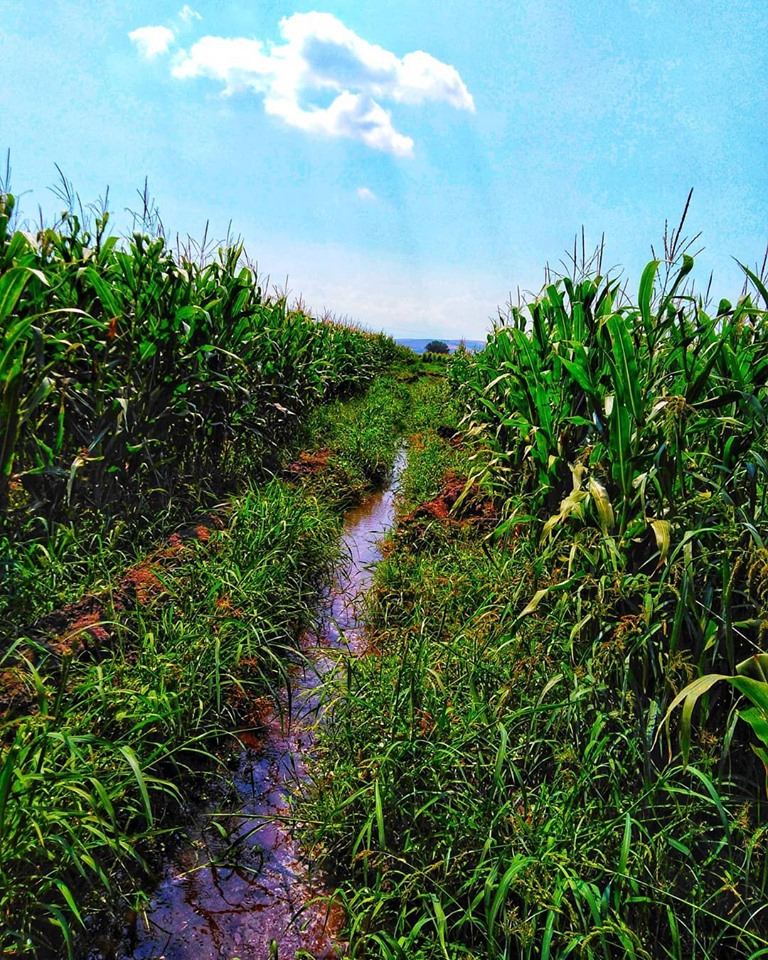 Pazarcık Evri Köyü Resimleri 11