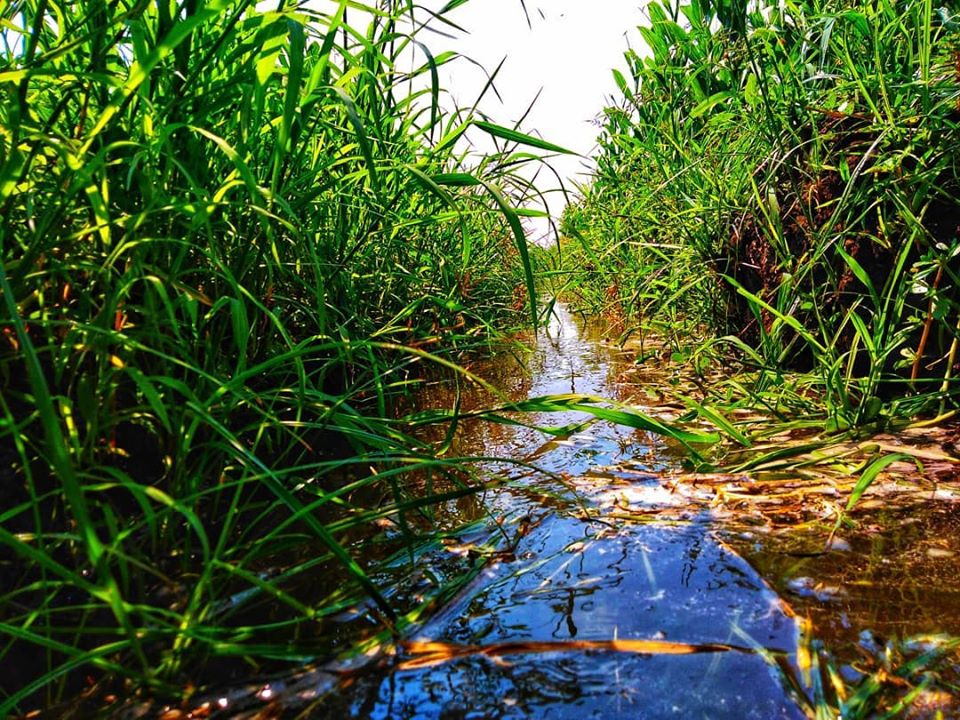 Pazarcık Evri Köyü Resimleri 12