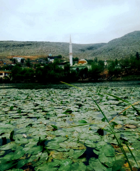 Pazarcık Evri Köyü Resimleri 4