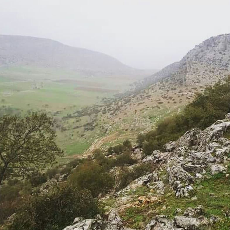 Pazarcık Evri Köyü Resimleri 7