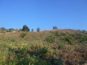 Onikişubat Kürtül Köyü Resimleri 11