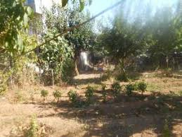 Onikişubat Malik Ejder Köyü Resimleri 3