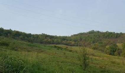 Onikişubat Orhangazi Köyü Resimleri 3