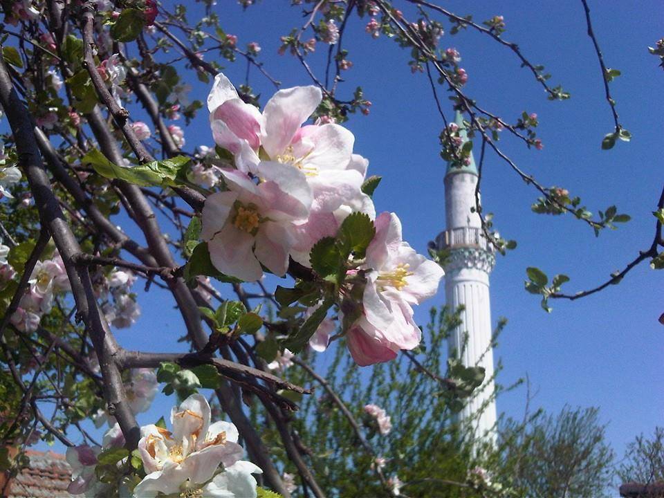 Edirne Hıdırağa Köyü Resimleri 12