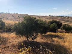 Onikişubat Önsen Köyü Resimleri 5