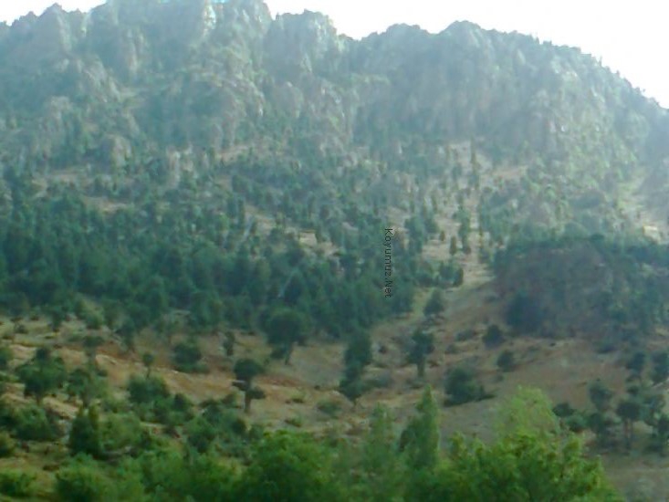 Onikişubat Öztürk Köyü Resimleri 5