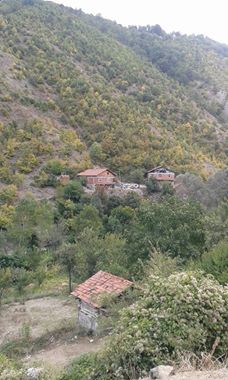 Vezirköprü Bektaş Köyü 5