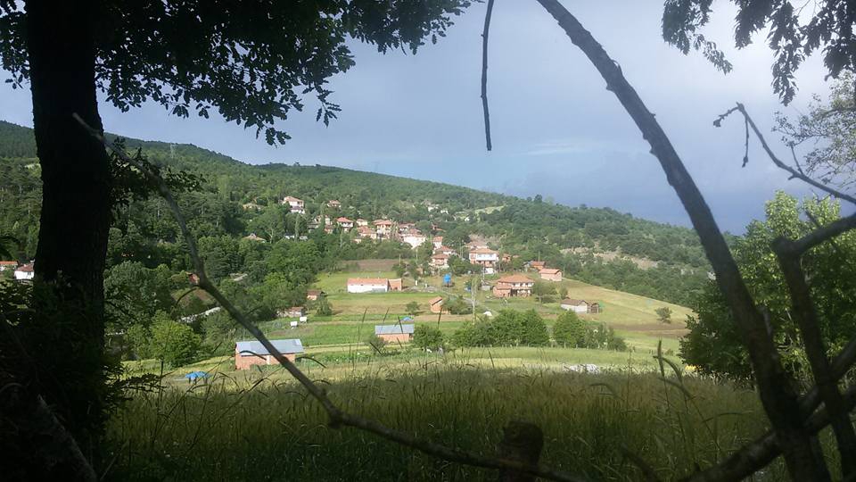 Vezirköprü Belalan Köyü 2