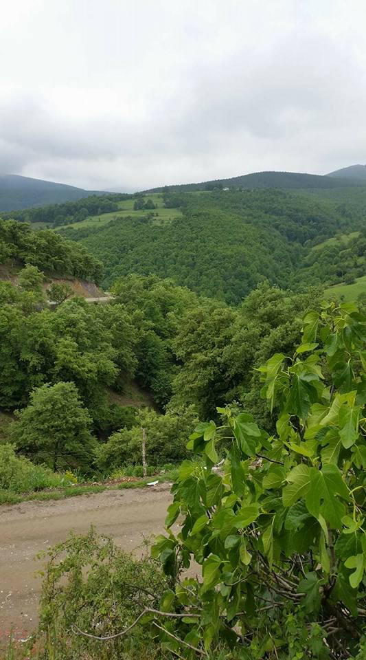 Vezirköprü Belalan Köyü 7