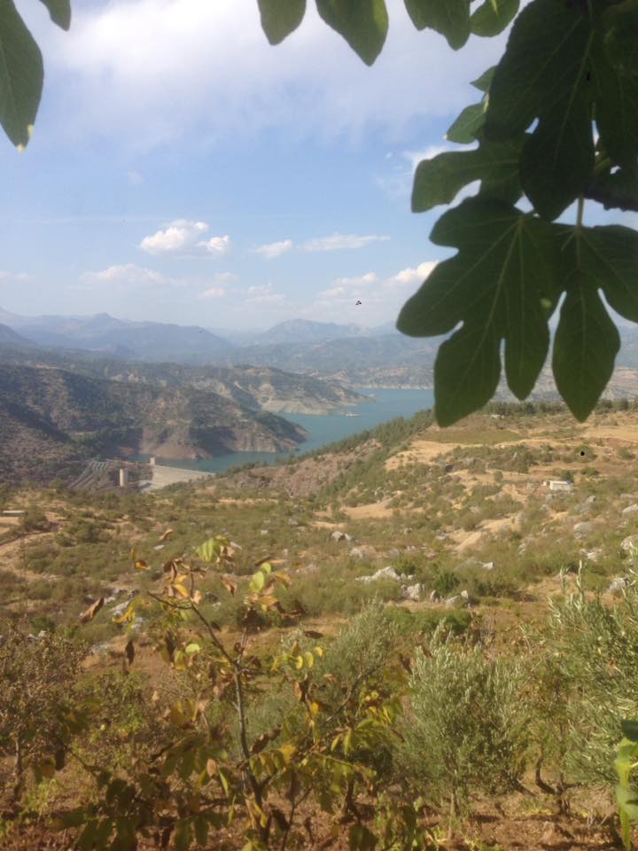 Onikişubat Sarıçukur Köyü Resimleri 12