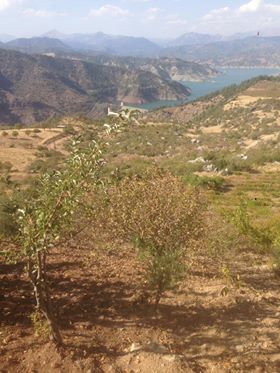 Onikişubat Sarıçukur Köyü Resimleri 2