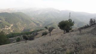 Onikişubat Sarıçukur Köyü Resimleri 5