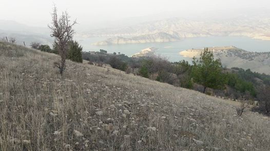 Onikişubat Sarıçukur Köyü Resimleri 8