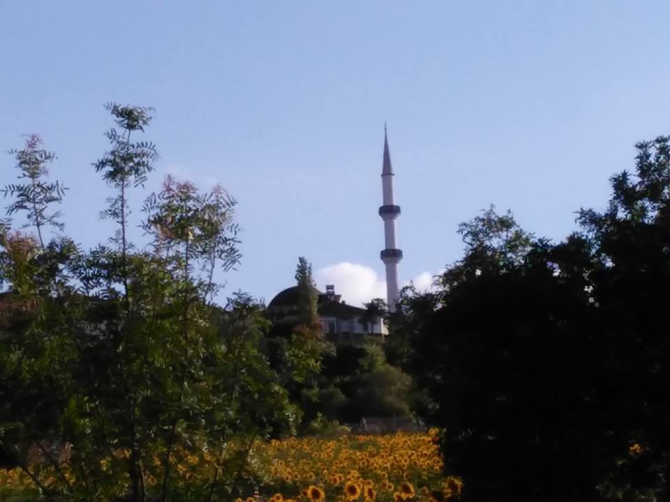 Vezirköprü Boğaköy Köyü 10