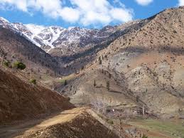 Onikişubat Sarıgüzel Köyü Resimleri 10