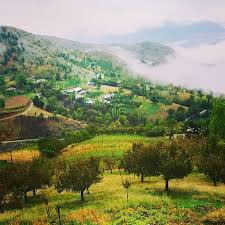 Onikişubat Sarıgüzel Köyü Resimleri 13