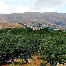 Onikişubat Sarıgüzel Köyü Resimleri 15