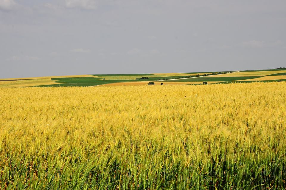 Edirne Karabulut Köyü Resimleri 3