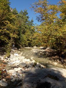 Onikişubat Saygılı Köyü Resimleri 2