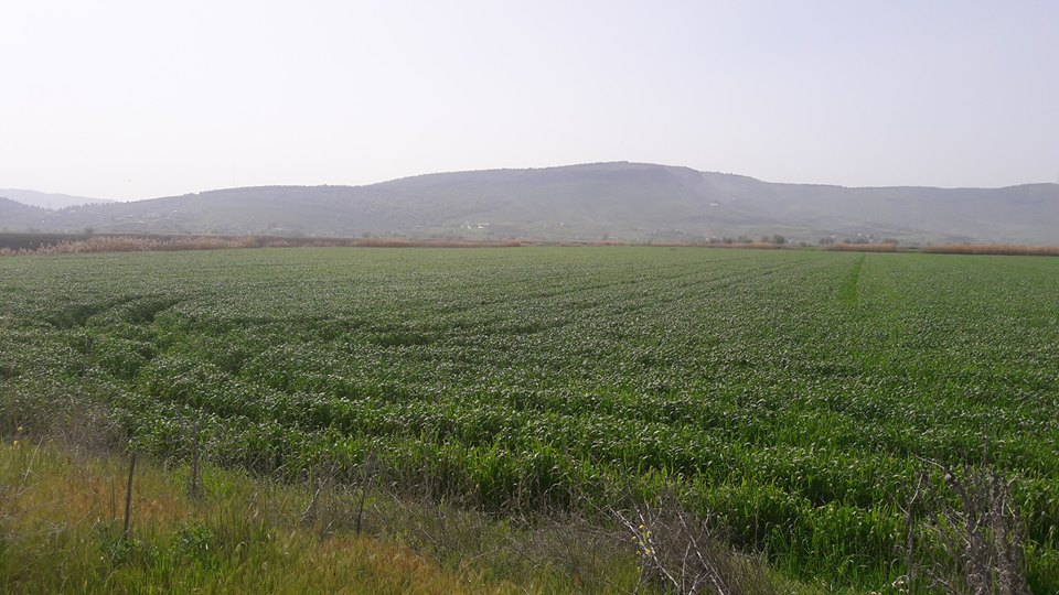 Onikişubat Selimiye Köyü Resimleri 7