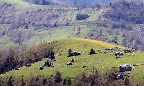 Onikişubat Suluyayla Köyü Resimleri 14