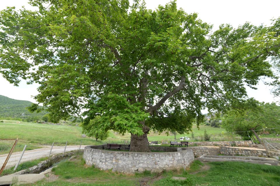 Onikişubat Suluyayla Köyü Resimleri 2