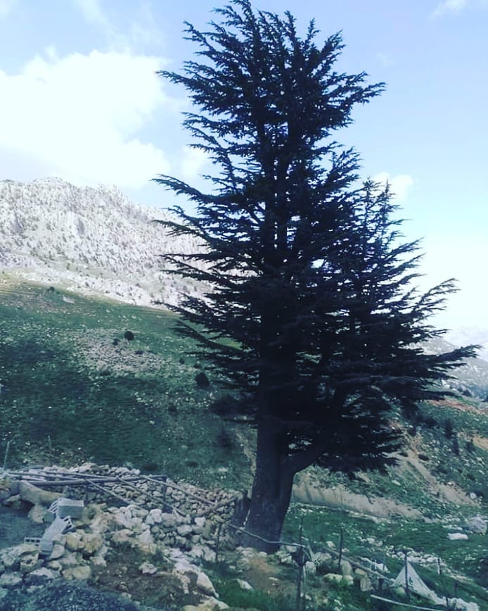 Onikişubat Süleymanlı Köyü Resimleri 15