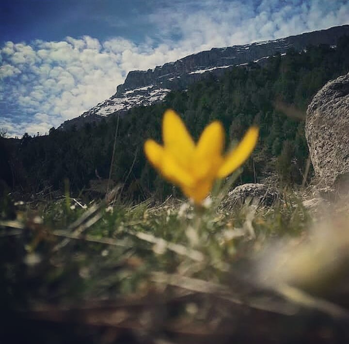 Onikişubat Sümbüllü Köyü Resimleri 2
