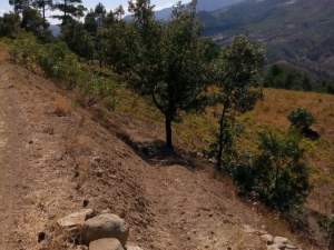 Onikişubat Şazibey Köyü Resimleri 5