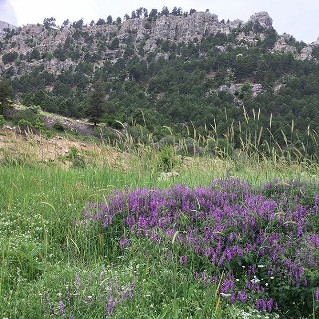 Onikişubat Şehit Abdullah Çavuş Köyü  Resimleri 2