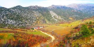 Onikişubat Tavşantepe Köyü Resimleri 5